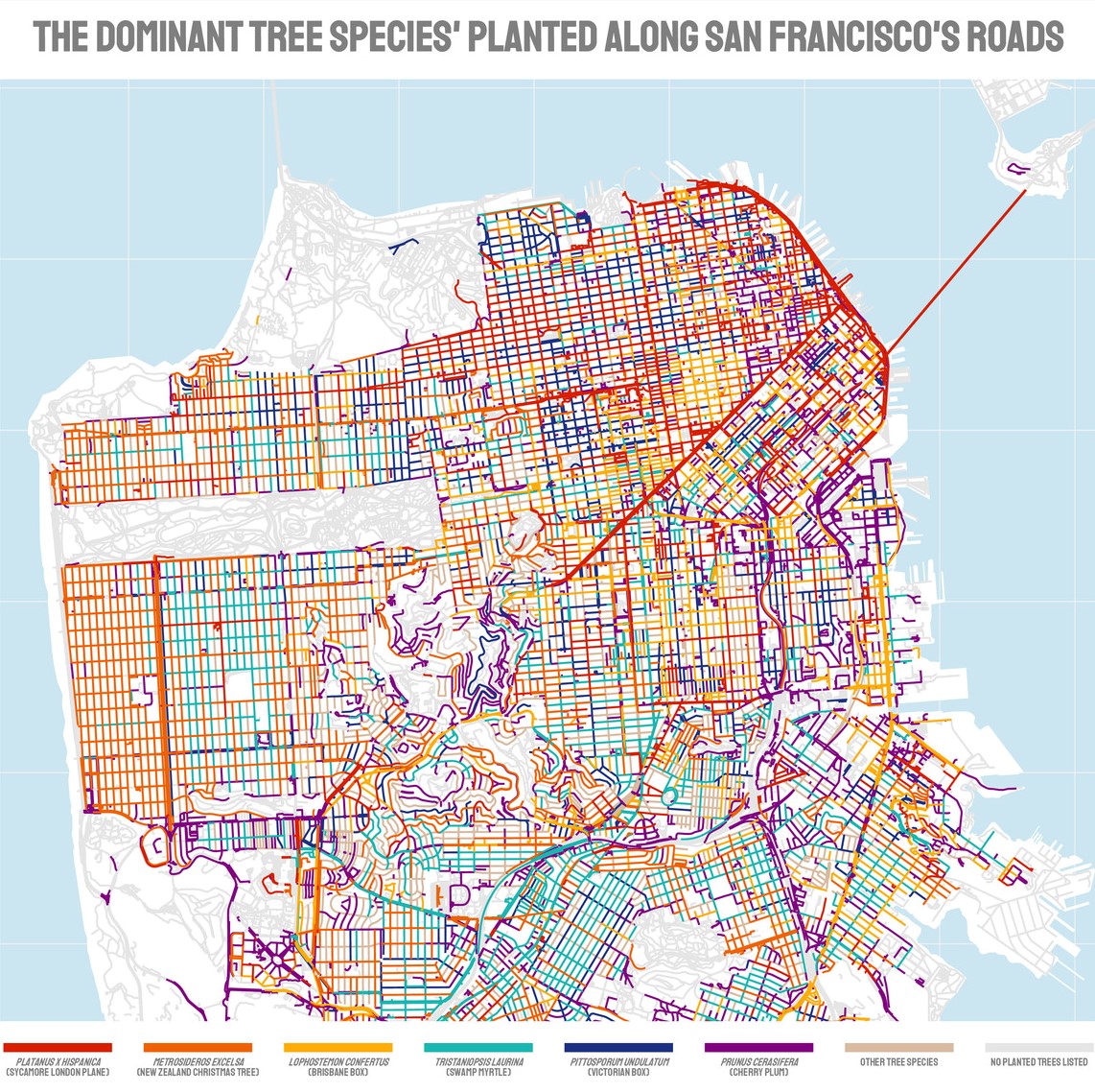 TidyTuesday Week 2020 05 Trees in San Francisco