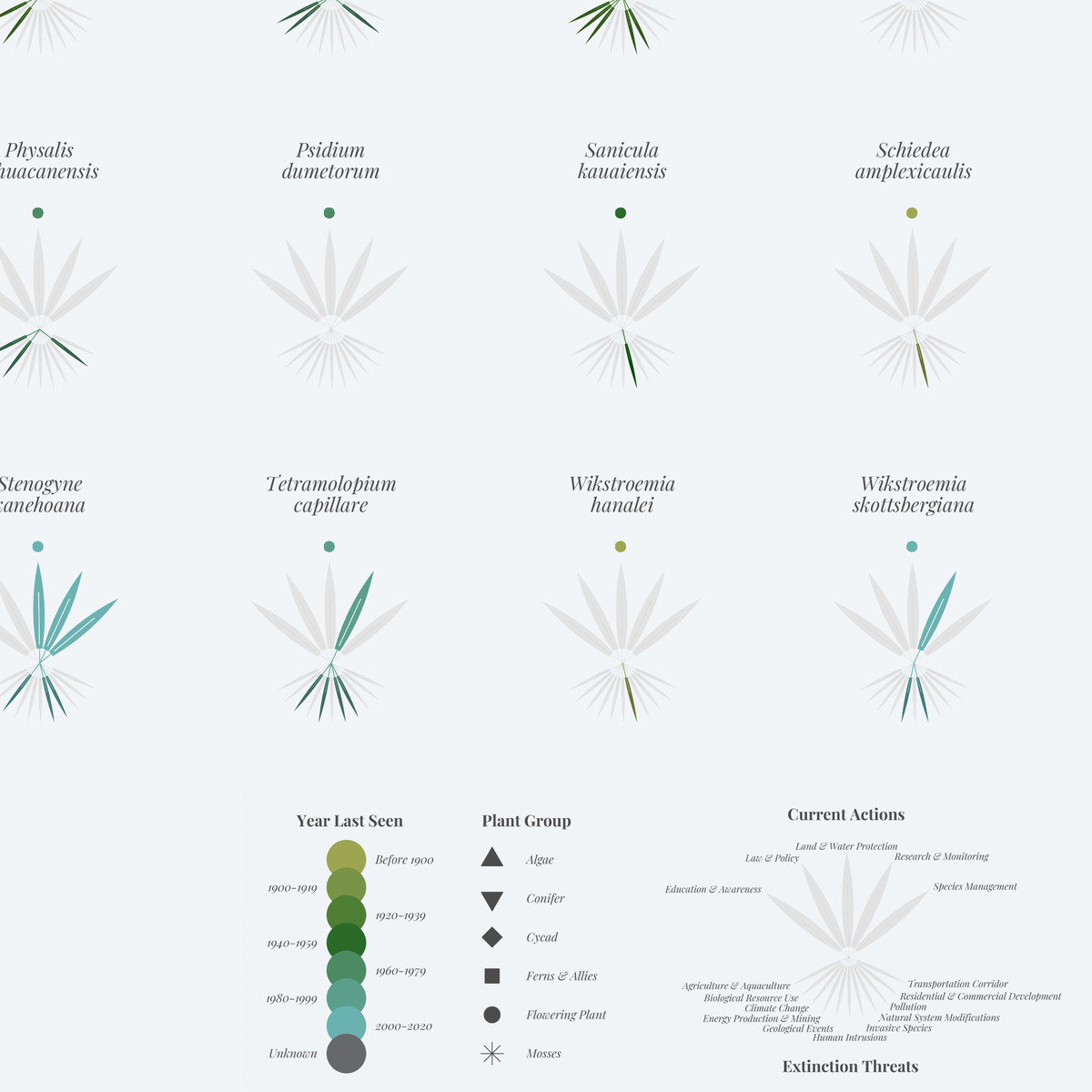 TidyTuesday Week 2020 34 Extinct Plants in Asia